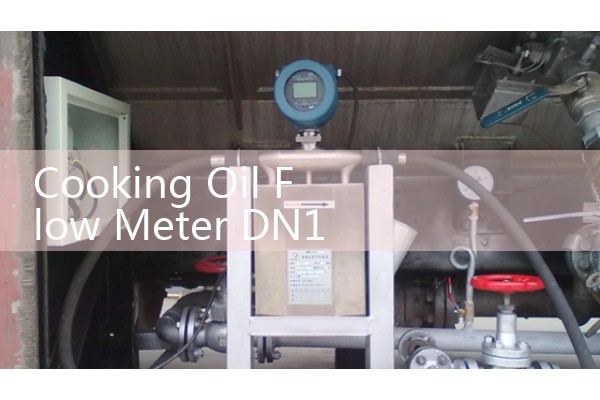 Cooking Oil Flow Meter DN100 Refining Stream Pipeline Layouts